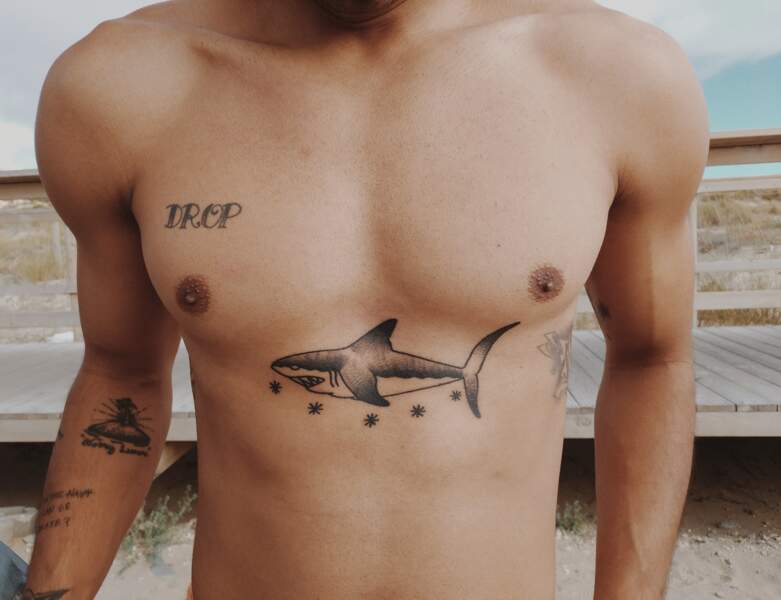 Le tatouage requin