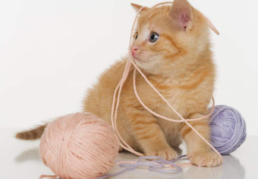 Comment tricoter la maille jetée