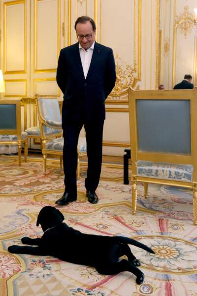 François Hollande et son chien Philae, en 2014