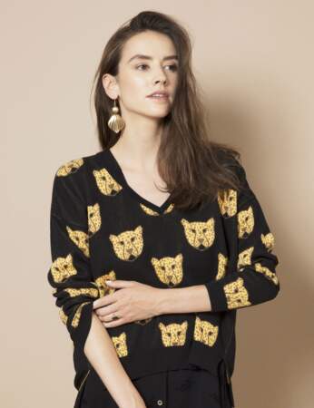 Le pull animaux
