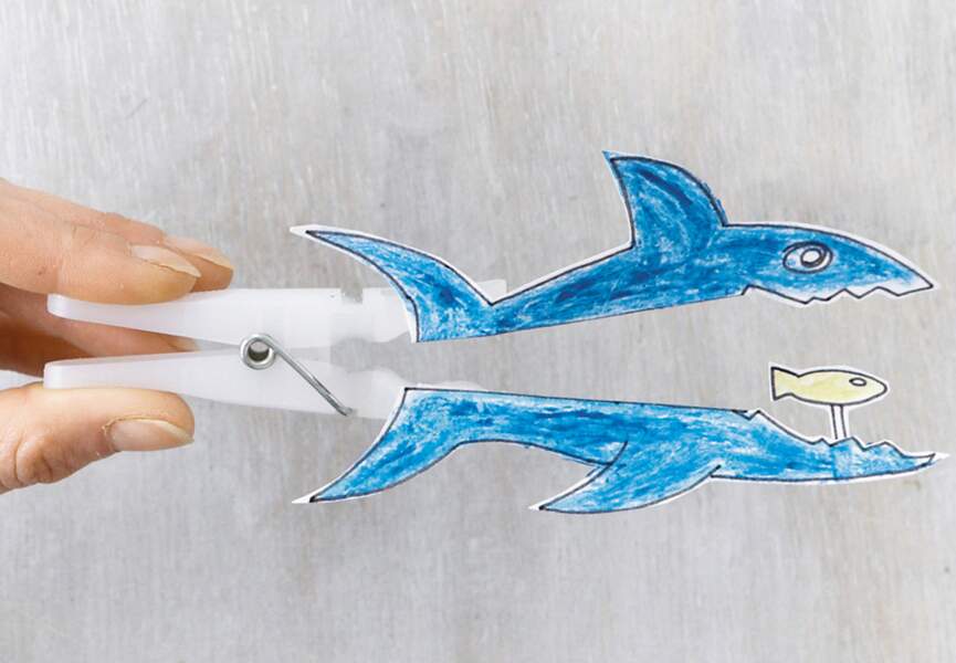 Des requins en papier