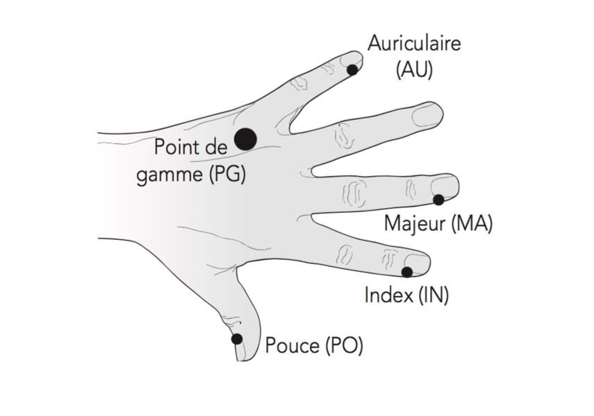EFT 6 exercices pour se familiariser avec cette technique Femme