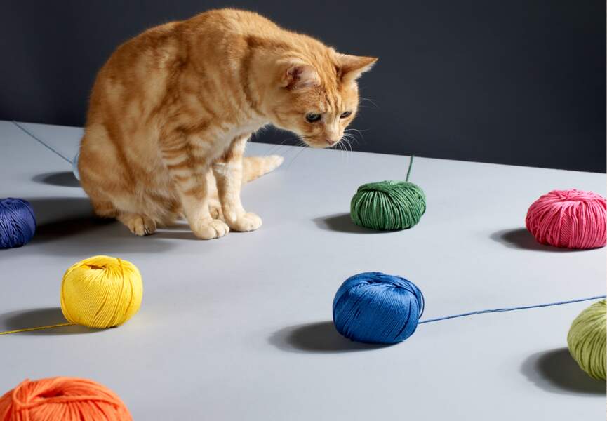 Comment tricoter des rayures de couleurs