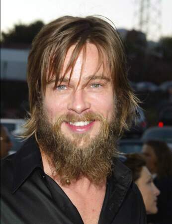 La barbe de Brad Pitt