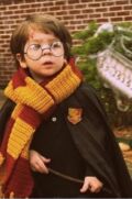 Mini Harry Potter