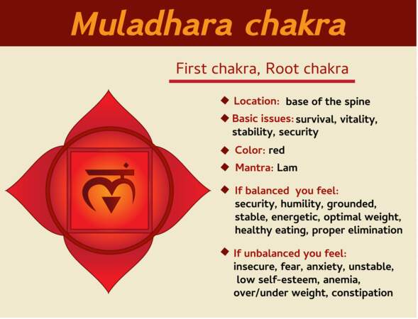 Tout savoir sur le premier chakra