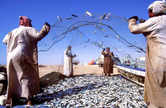 Pêcheurs omanais 