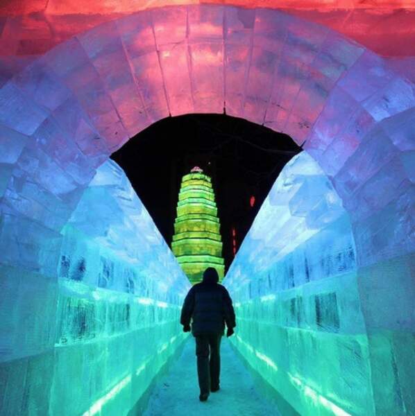 Le soir, ces gigantesques sculptures sont éclairées par des LED de toutes les couleurs. 