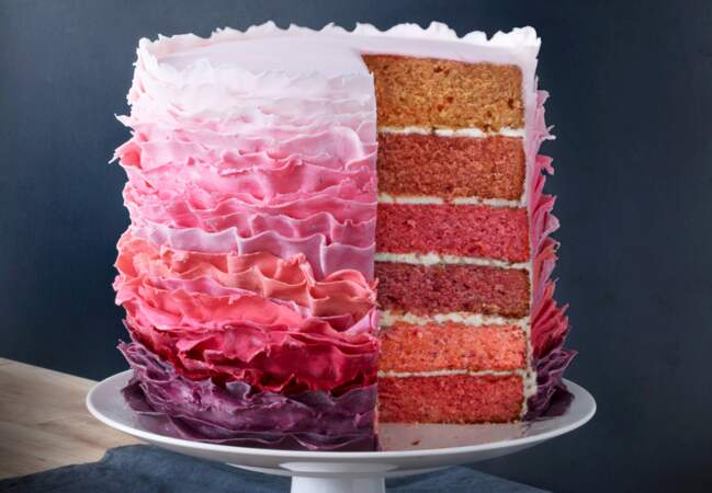 Cake design- 12 idées de décoration de gâteaux hyper-créative