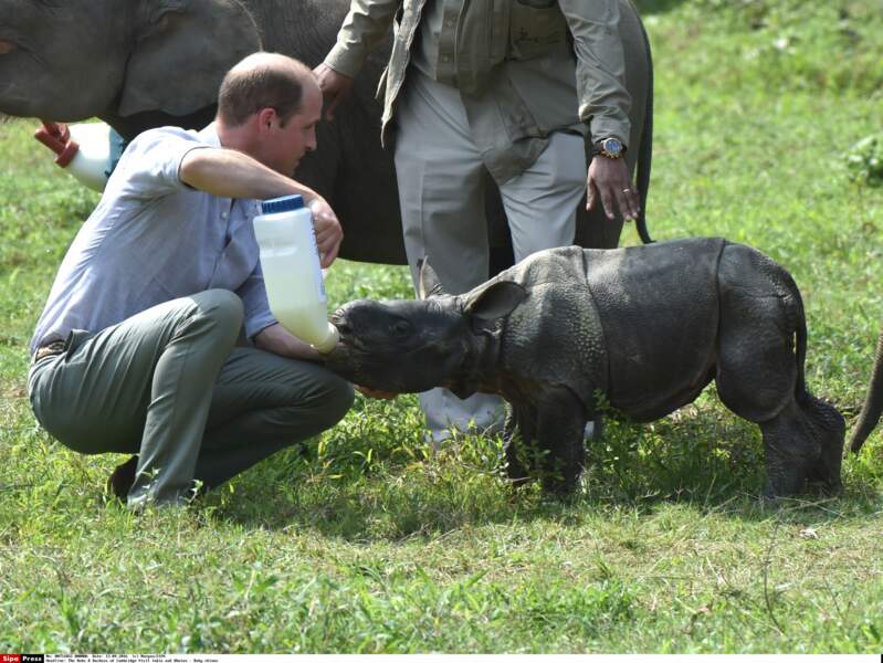 Au tour de William de nourrir un bébé rhino 