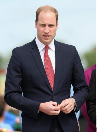 Le prince William, 2015