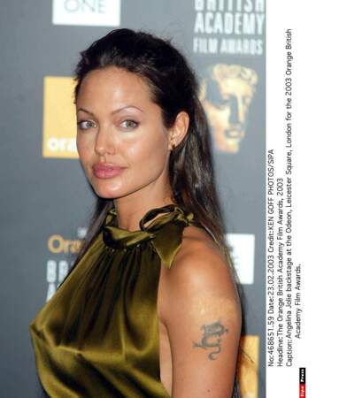 Angelina Jolie : 2003