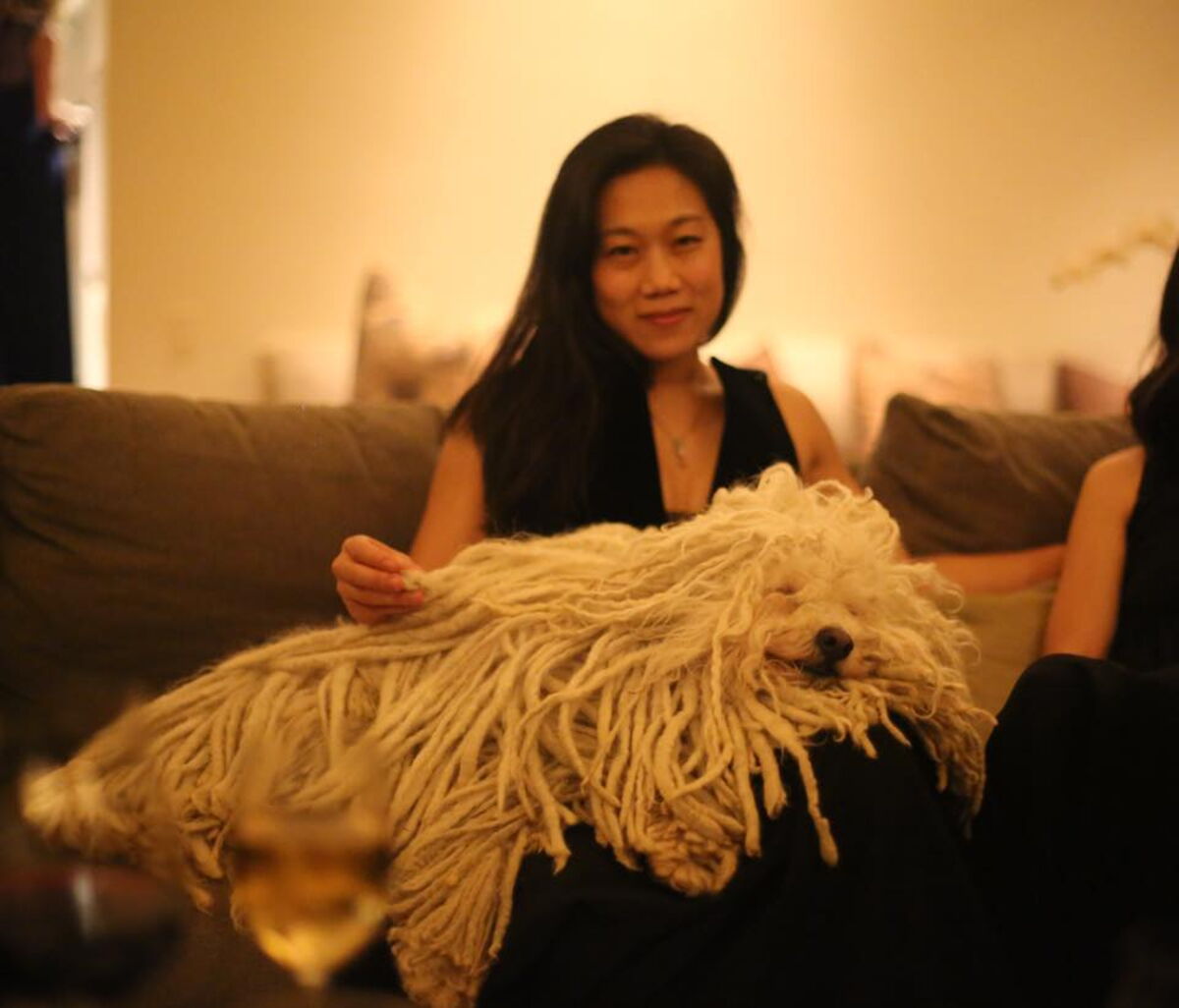 Beast, le chien de Mark Zuckerberg Femme Actuelle