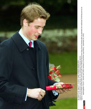 Le prince William, 2002