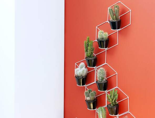 Cactus graphique au mur