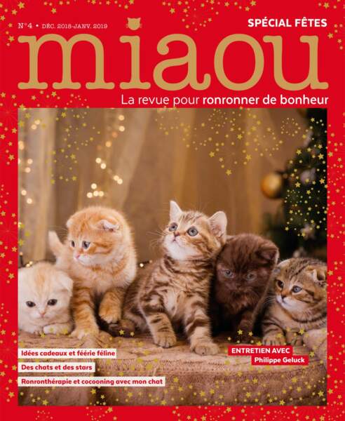 Nos Cadeaux Pour Chat Et Chien A Glisser Sous Le Sapin De Noel Femme Actuelle