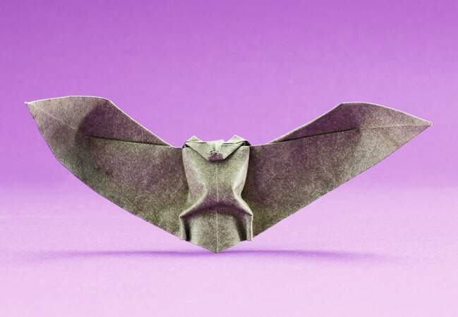 Des chauve-souris en origami