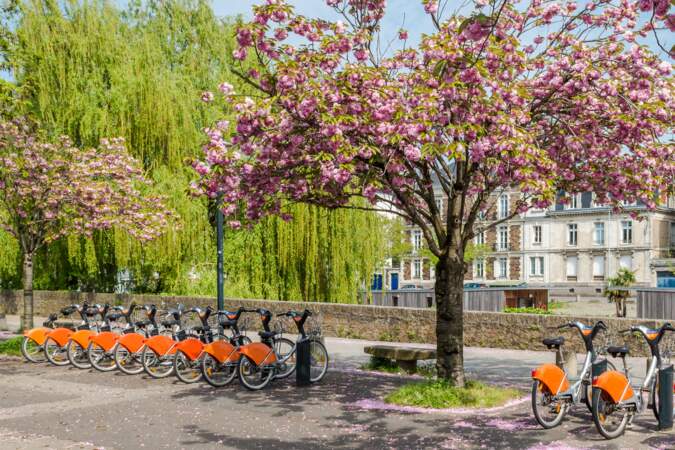 Nantes, deuxième ville française la plus vélo-friendly