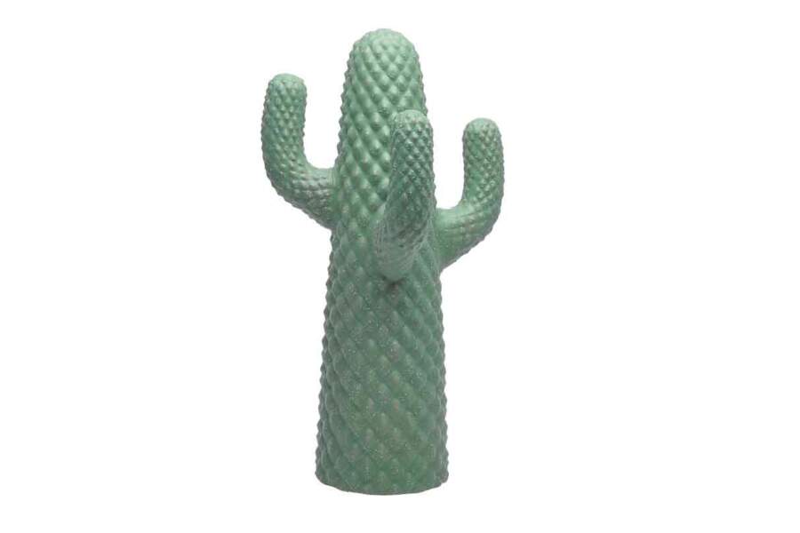 Un cactus décoratif