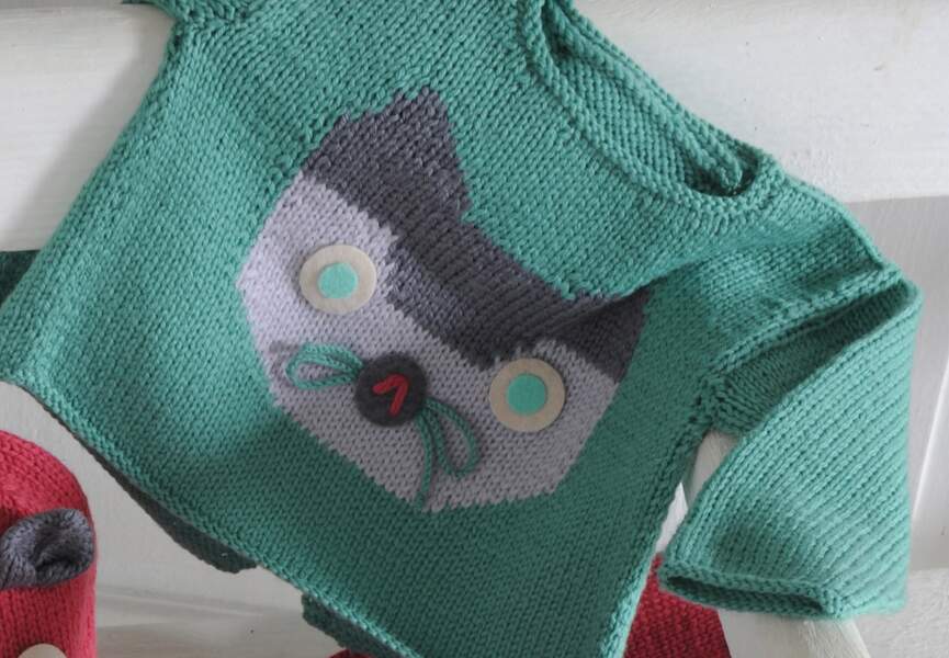 Un pull chat à tricoter