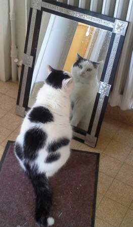 Briska : "Ô miroir, mon beau miroir, dis-moi…"
