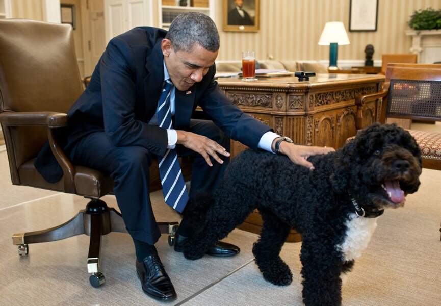 Dans la vie de Barack Obama, il y a aussi le chien, Bo 