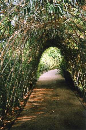 "Nature’s Tunnel or Light and the End, Stratford" 