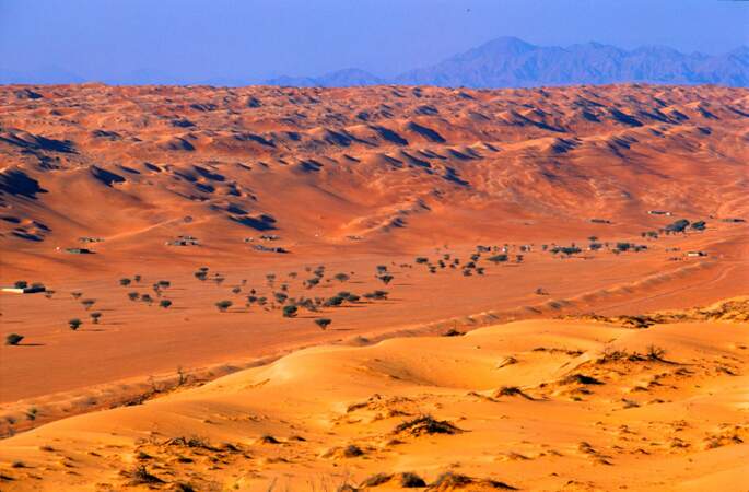 Desert omanais