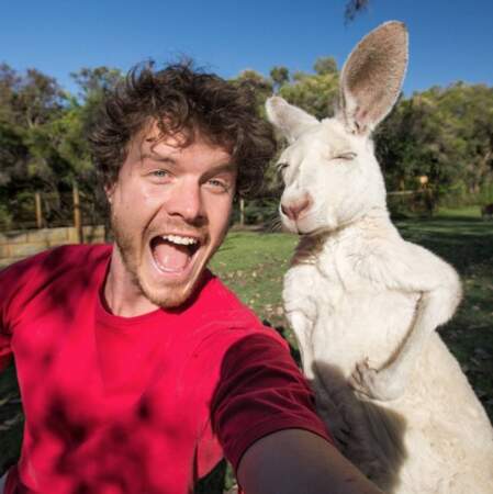 Allan, le roi du selfie... avec ses copains les animaux