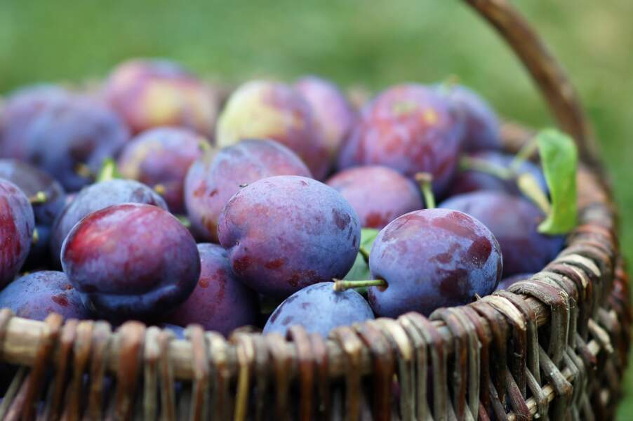 Fruit minceur : la prune 43 kcal pour 100g 
