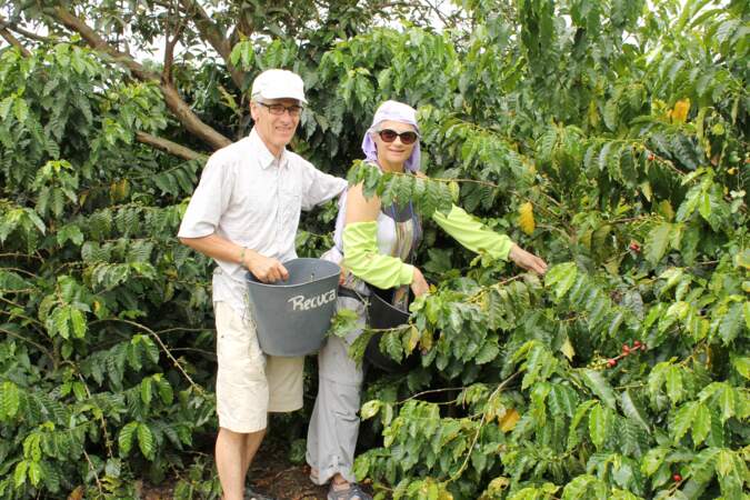 Récolte de café en Colombie