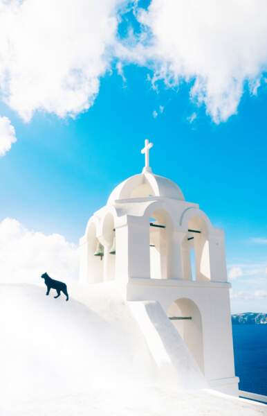 Chat en Grèce au sommet tel un dieu