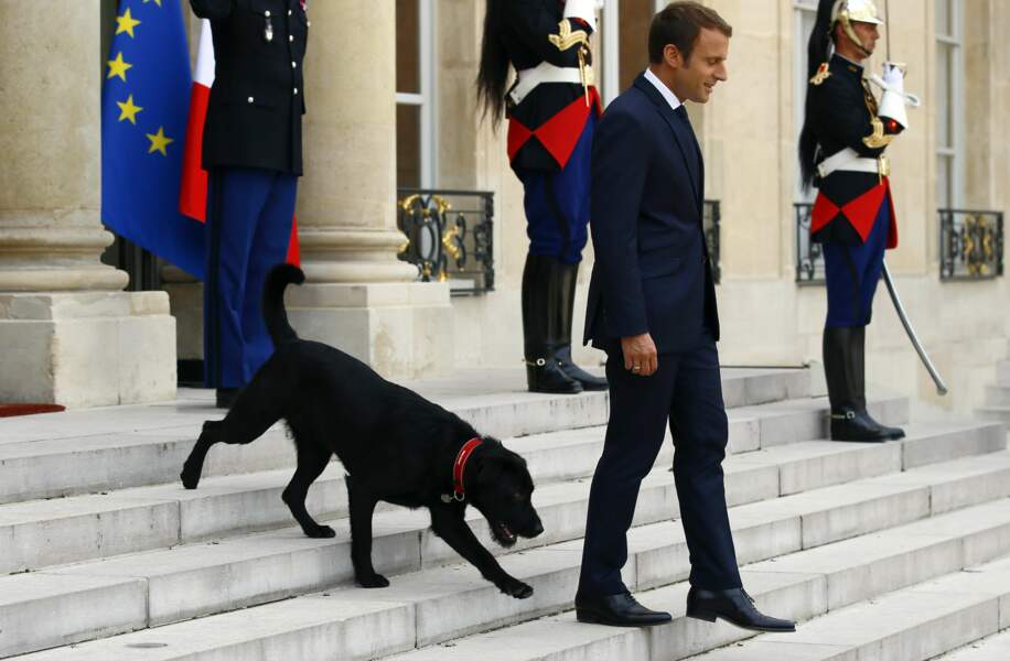 Emmanuel Macron et Némo