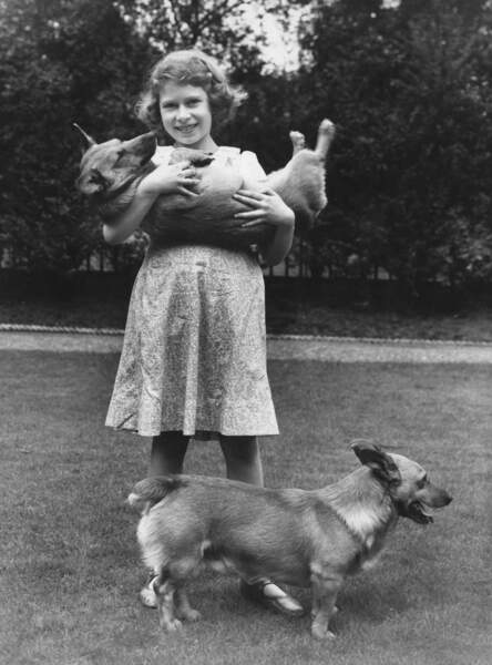 Dans sa maison à Londres, été 1936 : la princesse Elizabeth, 10 ans, éprouve déjà une passion pour les corgis.