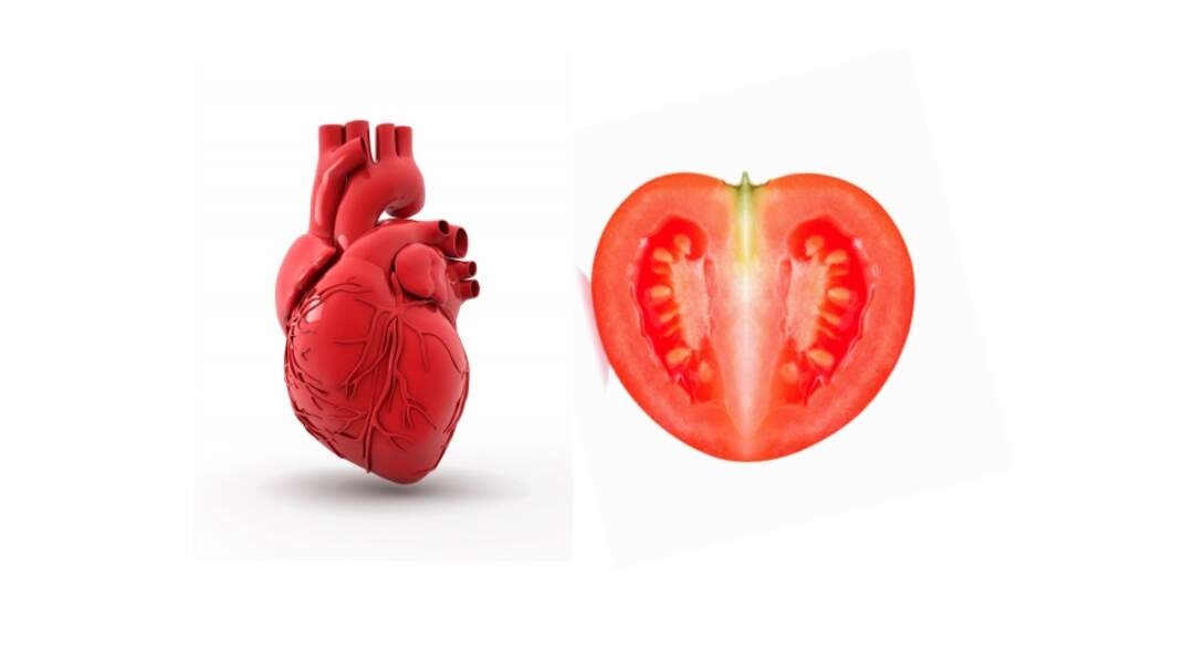 La tomate : le coeur