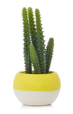Cactus artificiel
