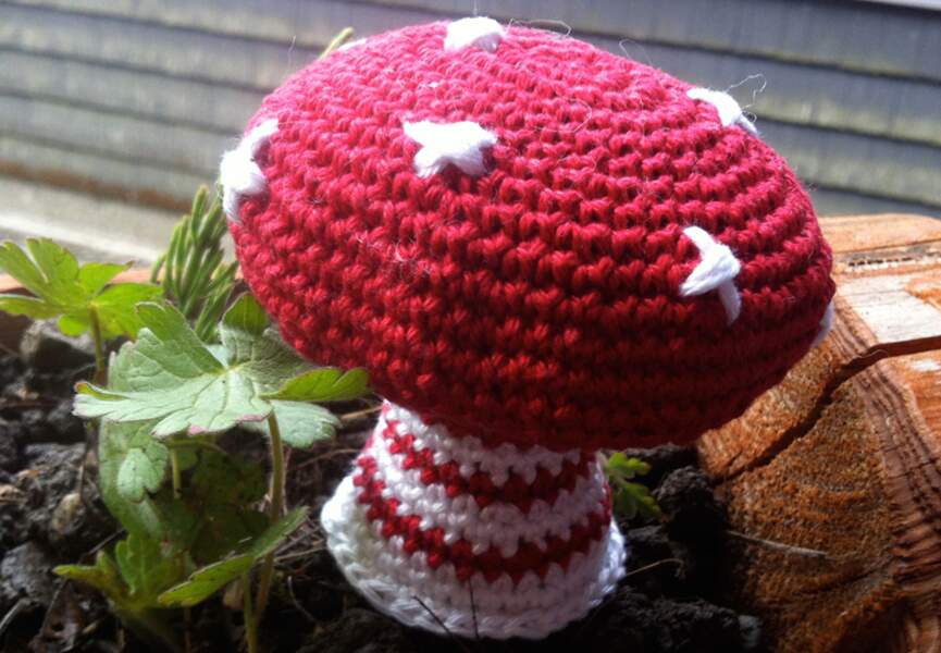 Un champignon au crochet