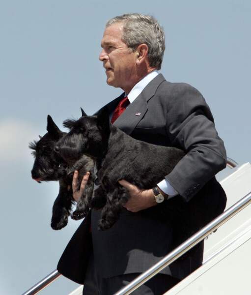 George Bush avec ses deux chiens en 2006