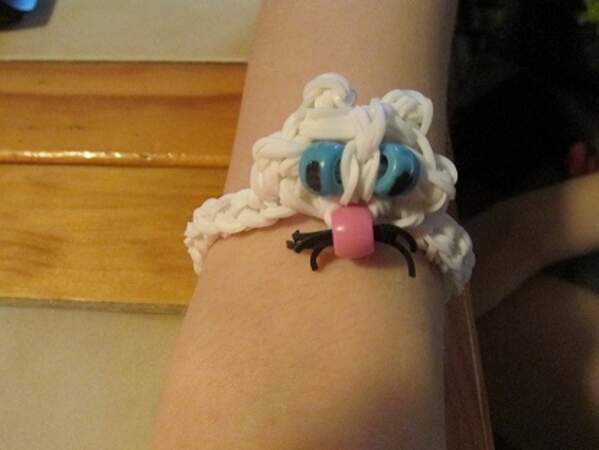 Le bracelet chat