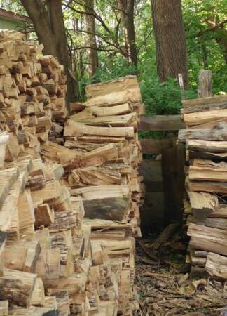 Un chat est caché parmi les bûches de bois. Mais où est-il?