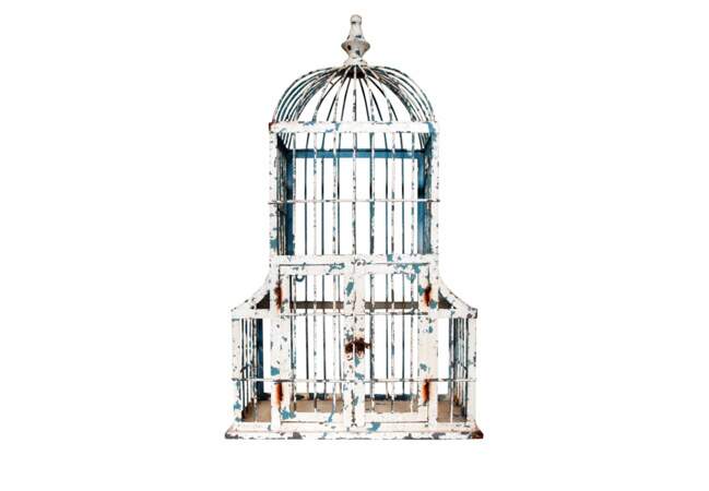 Une cage à oiseaux métallique