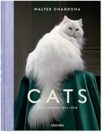 Le livre de Walter Chandoha, "Cats" 