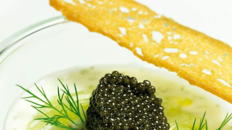 Yaourt brassé, julienne de concombre et caviar de Philippe Etchebest