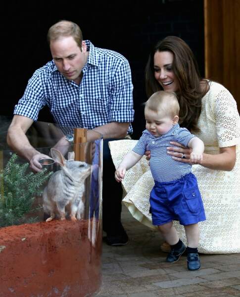 Prince George visite le zoo Taronga de Sidney (avril 2014)