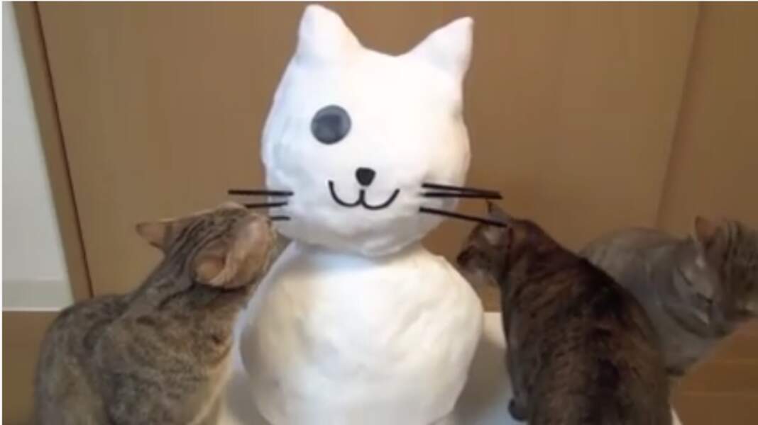 Des chats coquins détruisent un bonhomme de neige