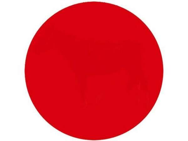 Que voyez-vous dans ce point rouge ? 
