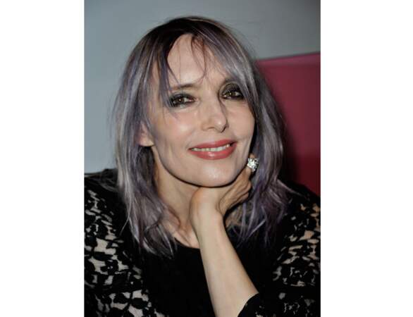 2013 : la chanteuse a 55 ans... et les cheveux gris ! 