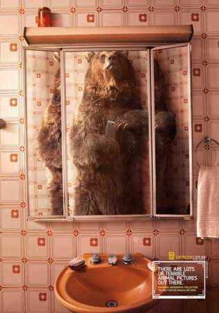 L'ours devant le miroir