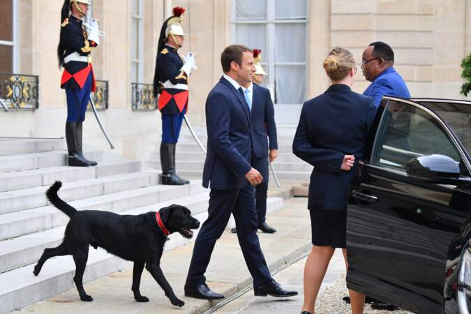 Emmanuel Macron avec Nemo, devant l'Elysée, en 2017