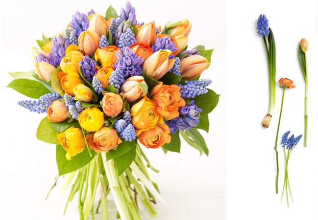 Un bouquet printanier de tulipes, jacinthes et renoncules